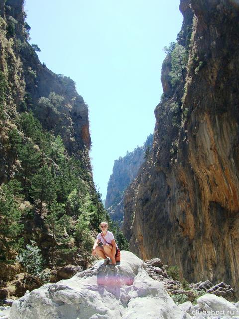 55313_w_c7d9c760.jpg